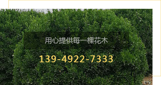 關于我們